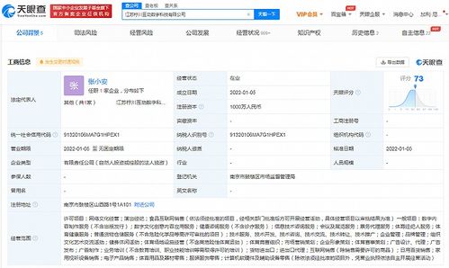 蘇寧布局數(shù)字科技新賽道 成立科技公司，涉足演出經(jīng)紀與數(shù)字內容服務