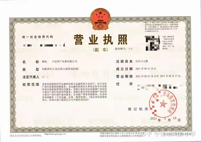不良資產(chǎn)處置公司 金融機(jī)構(gòu)的金融信息技術(shù)外包服務(wù)先鋒